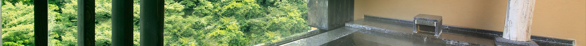 Onsen Spa
