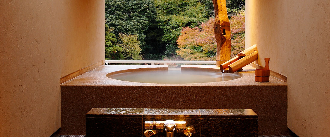 Chartered open-air hot spring Kawasemi