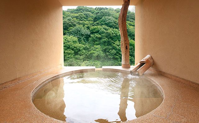 Chartered open-air hot spring Kawasemi