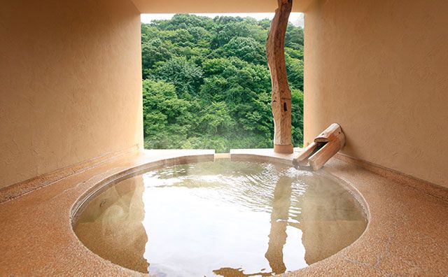 Chartered open-air hot spring Kawasemi