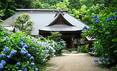 阿弥陀寺