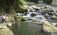 畑宿清流マス釣場